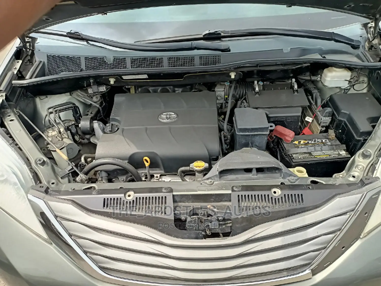 Toyota Sienna XLE 7 Passenger 2011 Green