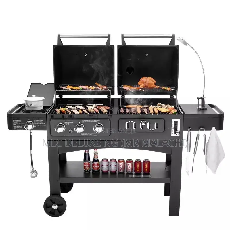 Professional Barbecue Griller (GAS AND CHARCOAL) BBQ Grill