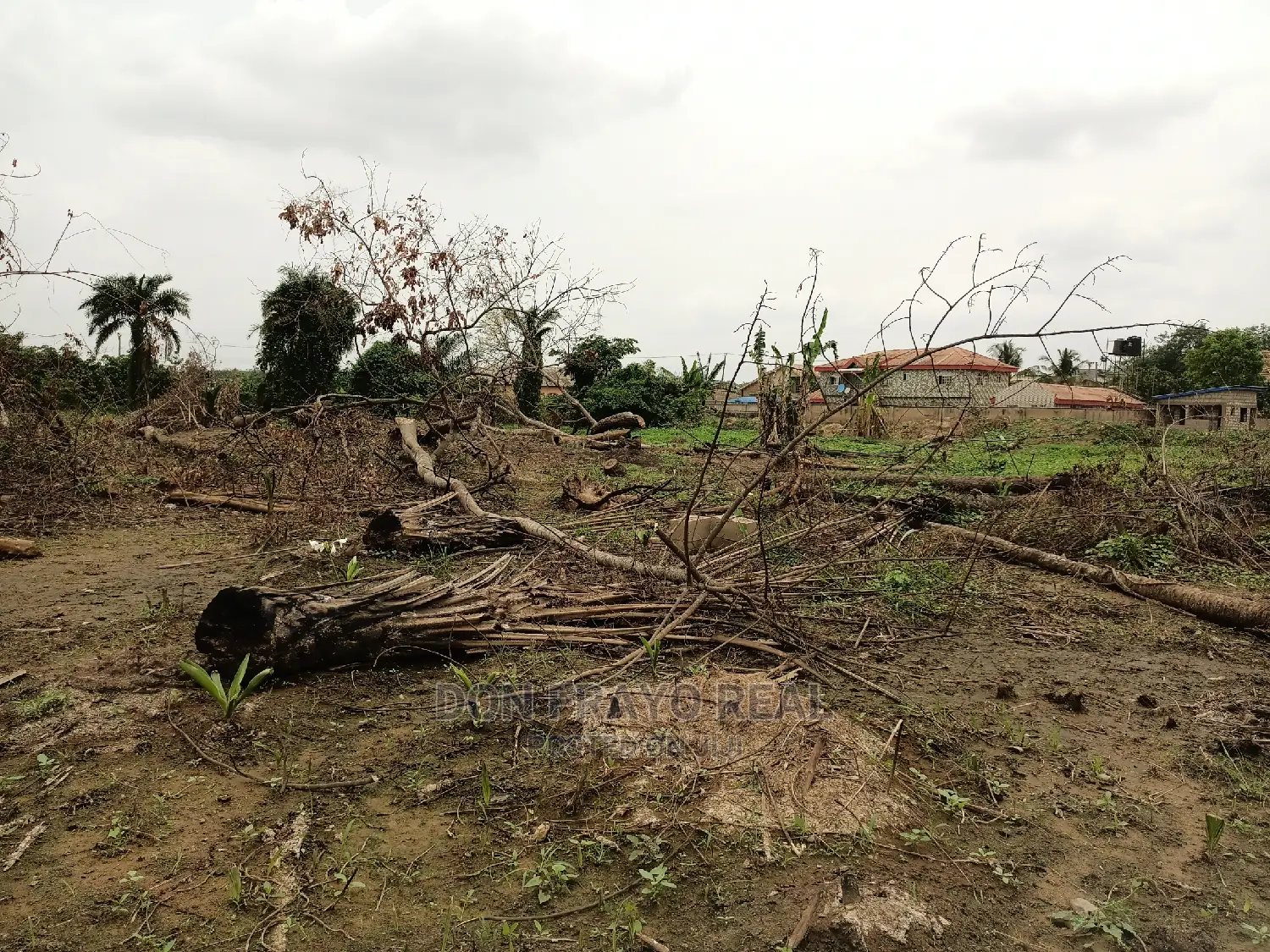 2 Plots of Land on Sale at Alafara Near Nihort Idishin