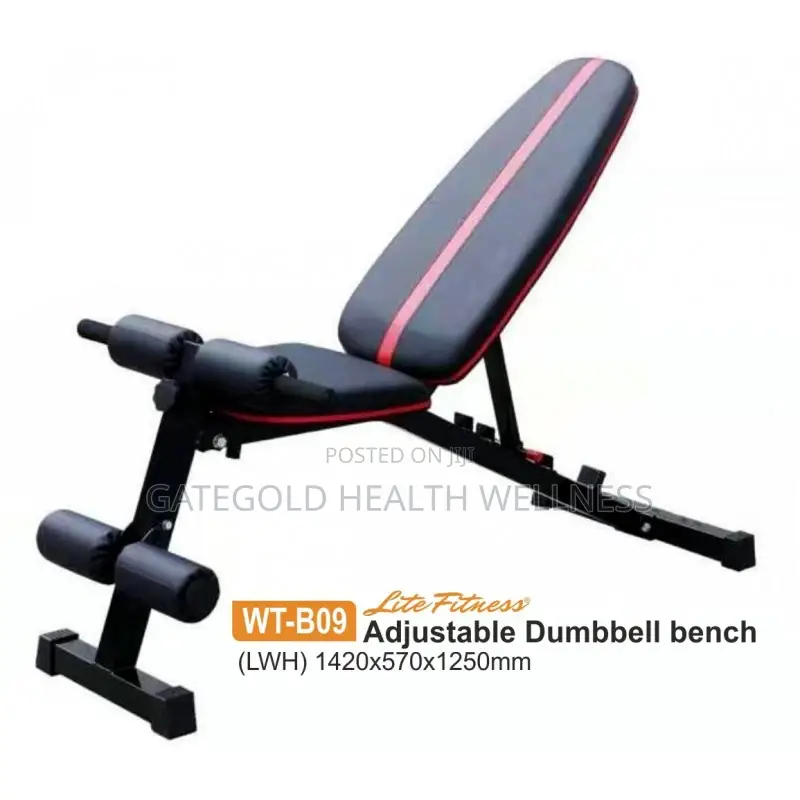 Multi Adjustable Bench WT-B09
