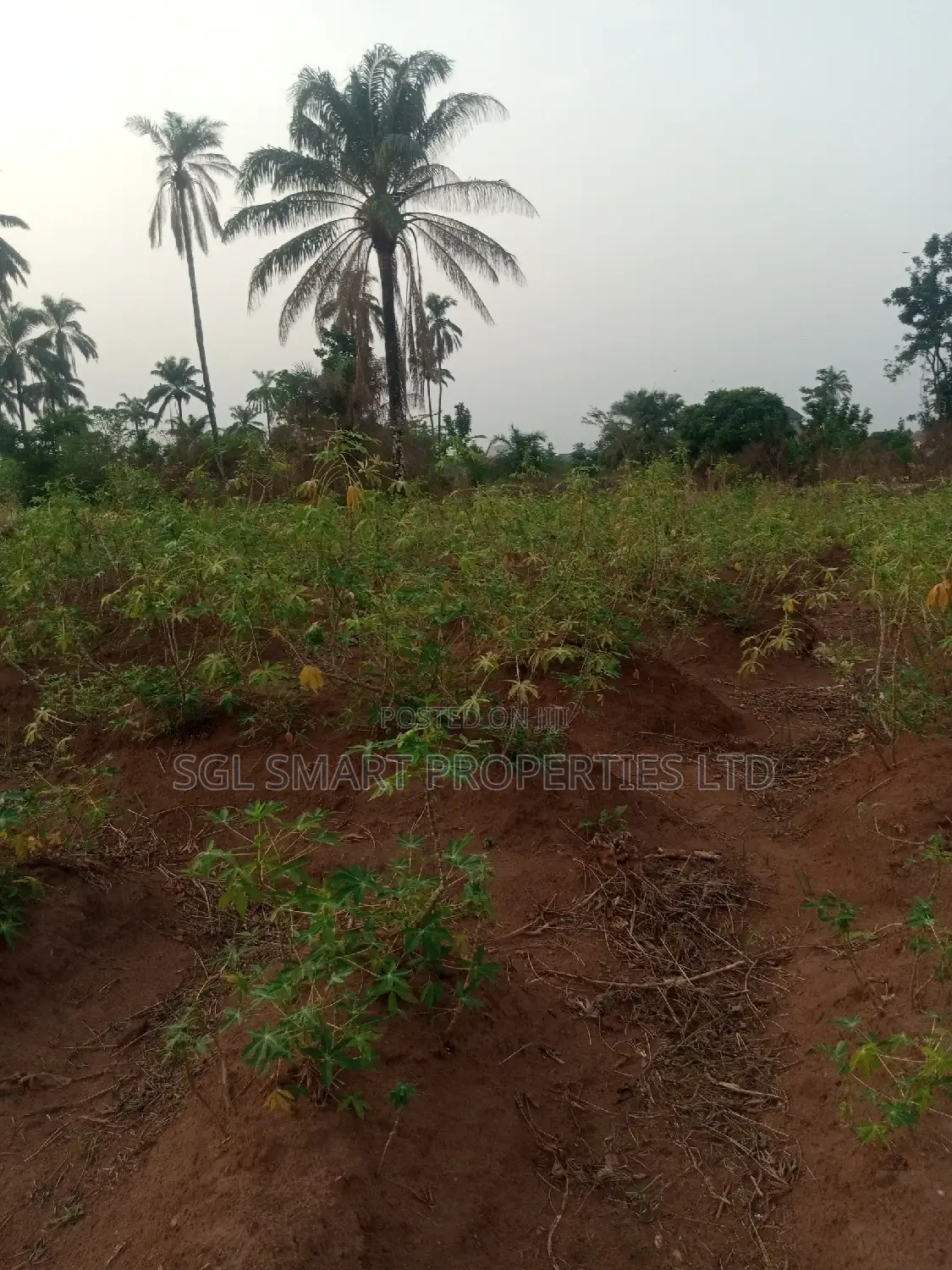 4 Plots of Land for Sale at Amansee