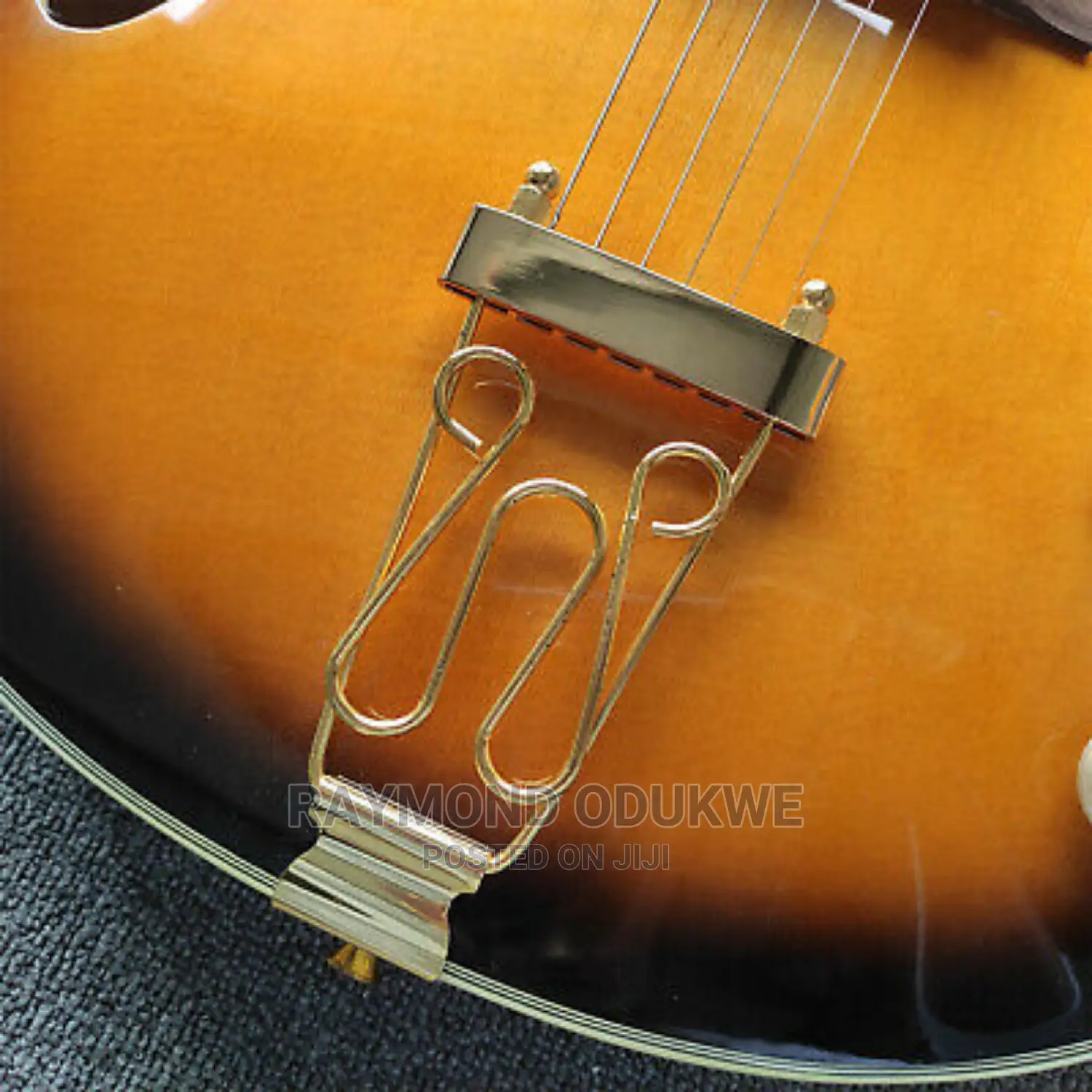 Semi Hollow Body Electric Acoustic Guitar