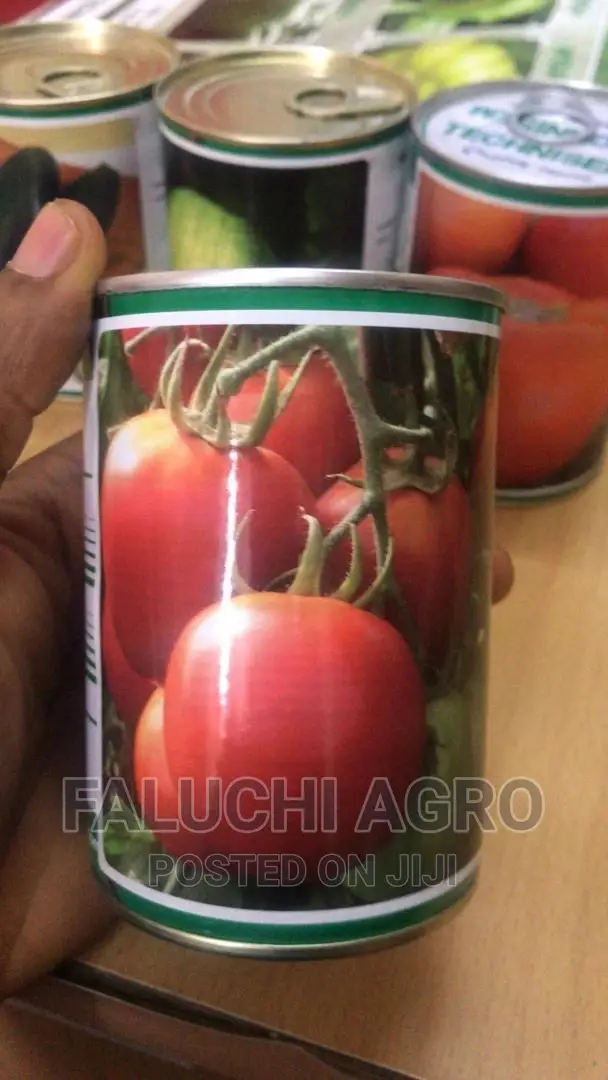 Technisem Hybrid Tomato Seeds - Cobra 26 F1 - 50g