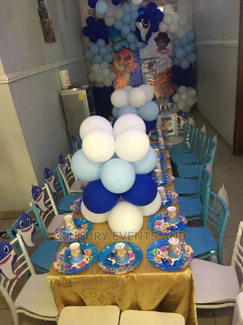 Theme Party / Children Party Planner in Lagos