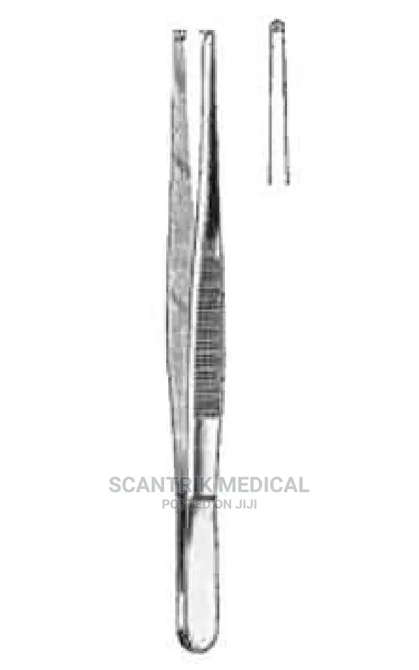 Gillies Dissecting Forceps, 15.5cm, Straight, 1×2 Teeth