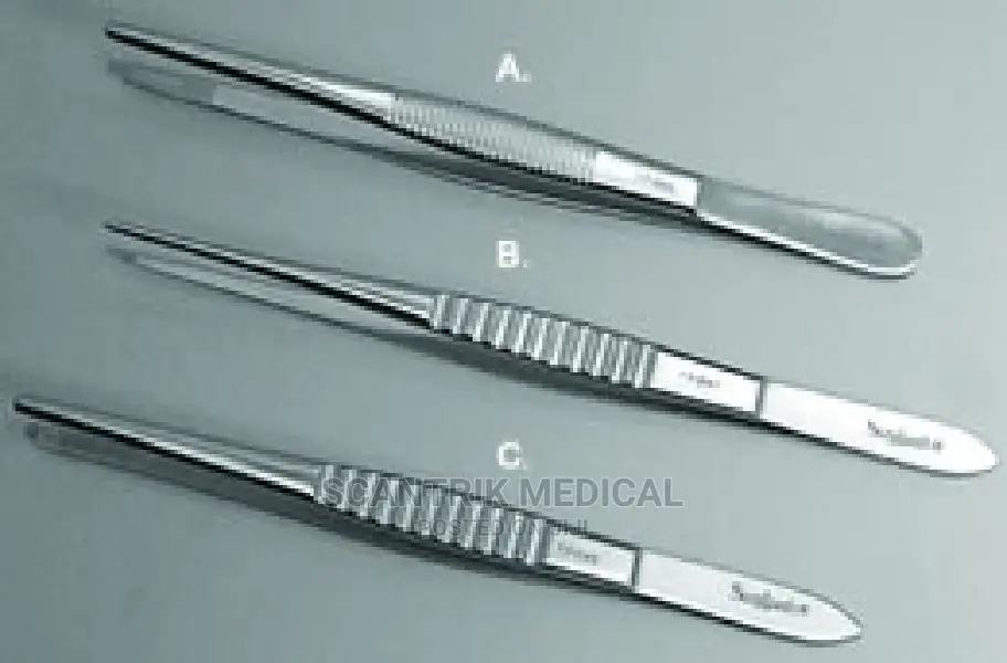 Dissecting Forceps Toothed 15.5cm, Straight, 1×2 Teeth