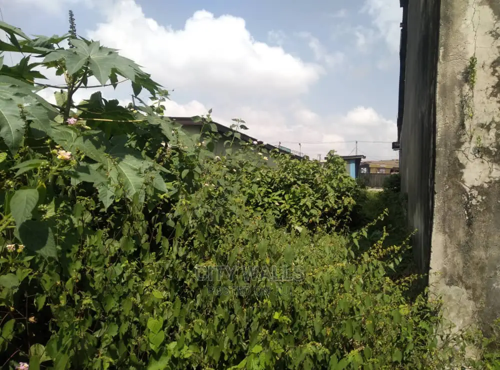1 Plot of Land for Sale