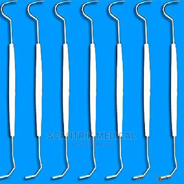 Disposable Double Hook Tooth Dental Explorer Probe Tool
