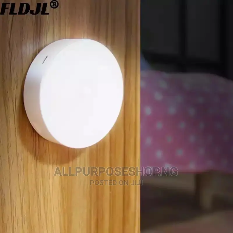 Body Induction Lamp