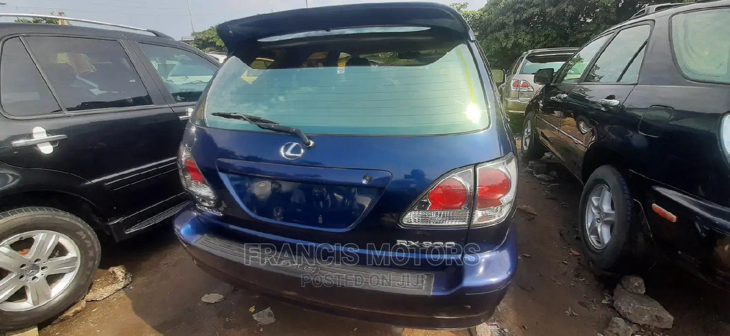 Lexus RX 300 4WD 2003 Blue