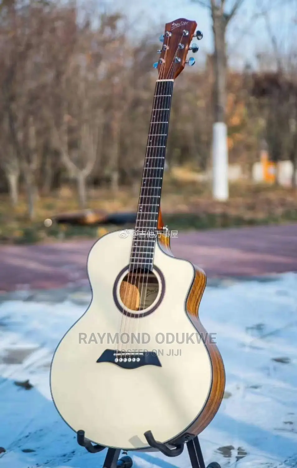 Pro Electro Acoustic Guitar With Bag and Strap With Cable