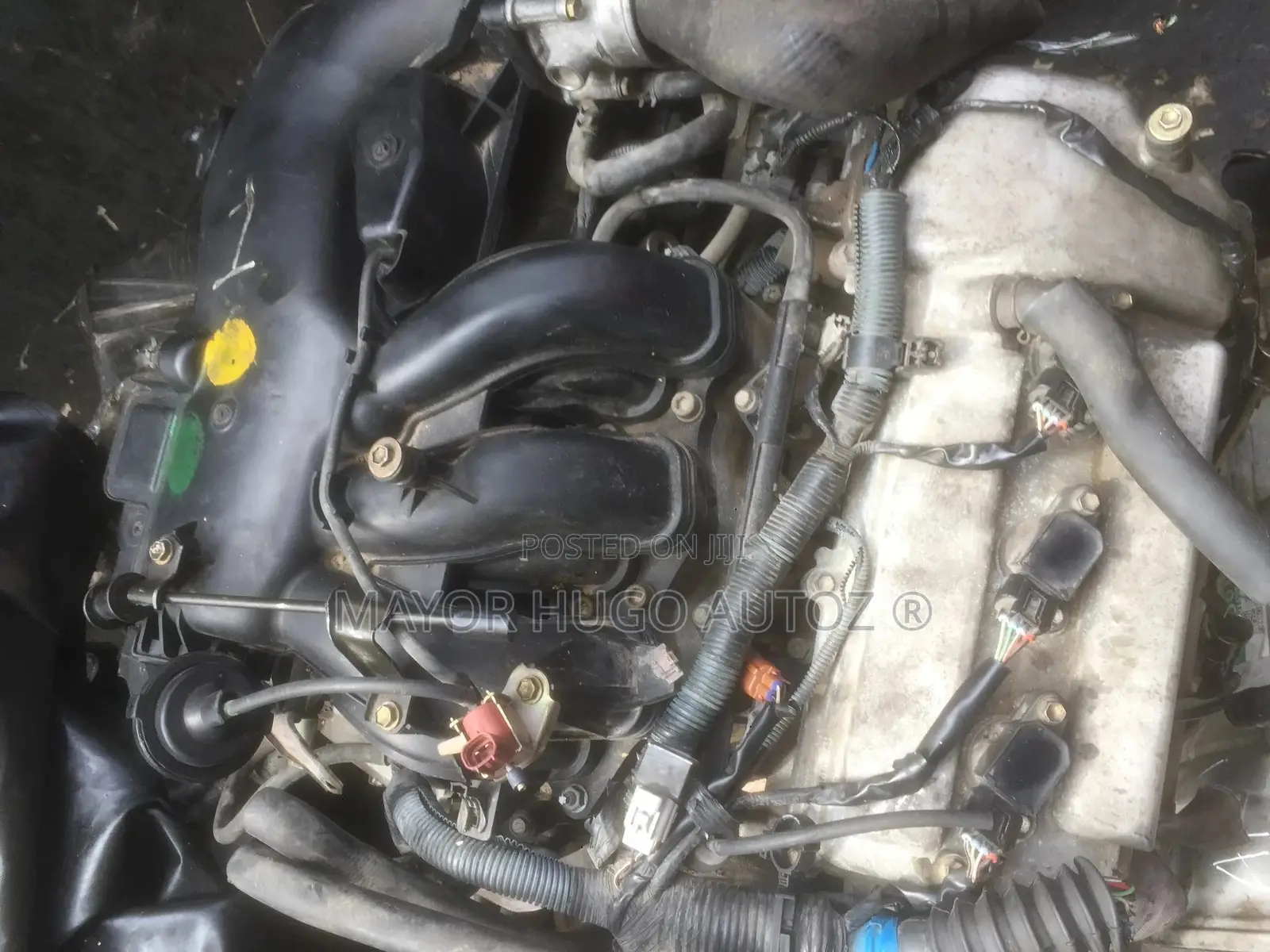 Tacoma Engine