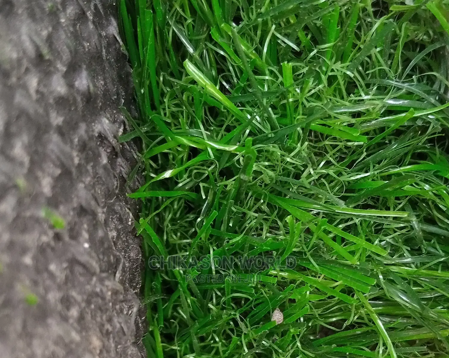 Dead Grass Football
