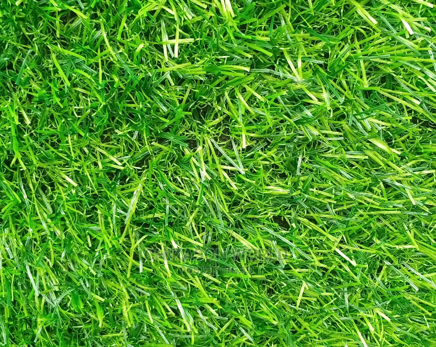 Best Synthetic Grass