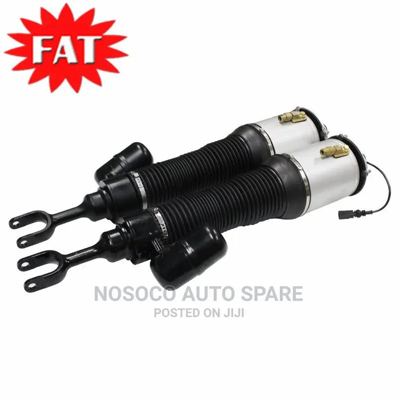 Shock Absorber Bentley 2013 and 2018
