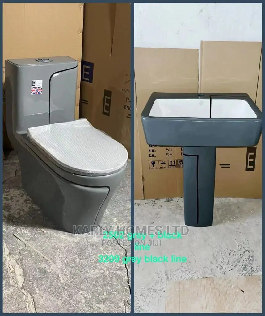 Original England Standard Executive Water Closet 1867