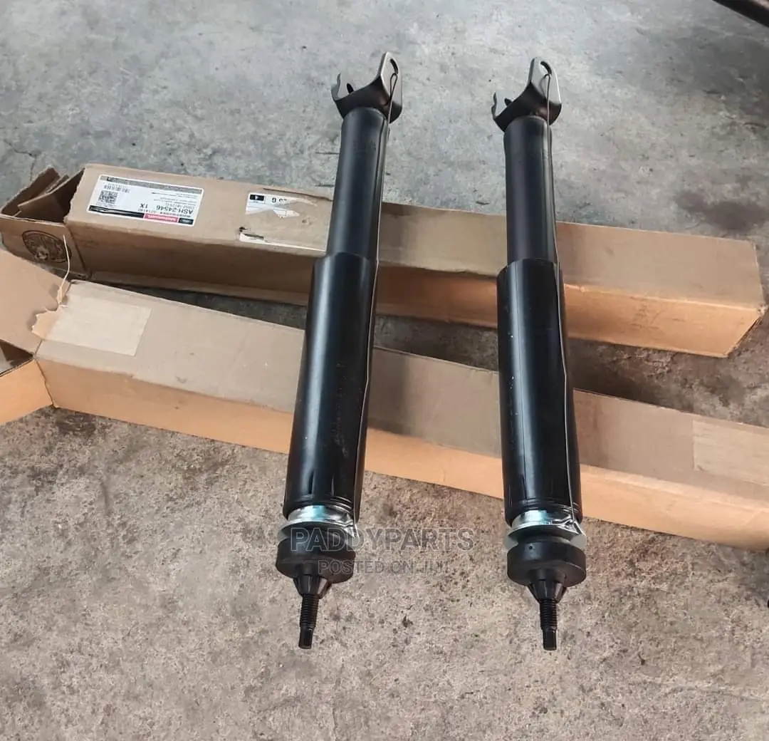 Ford Shock Absorber