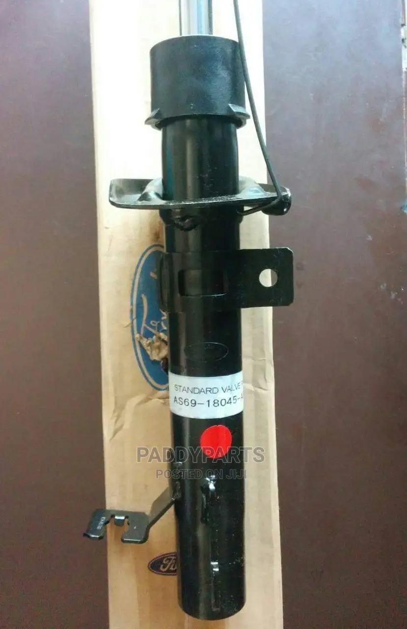 Ford Shock Absorber