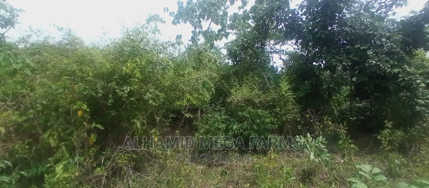 3375.95 Acres of Farmland for Sale at 700,000 Per Acre