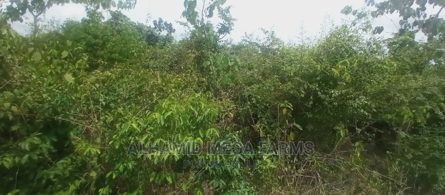 3375.95 Acres of Farmland for Sale at 700,000 Per Acre