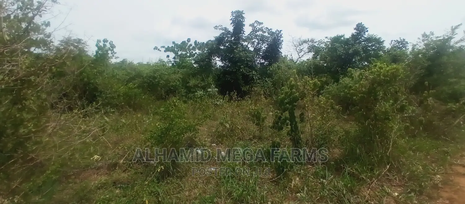 200 Acres of Farmland for Sale at 130,000 Per Acre