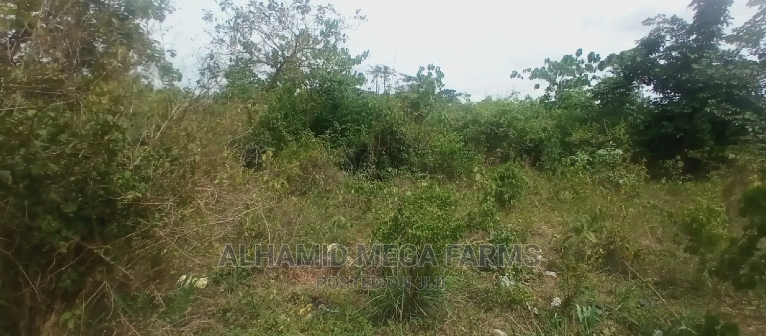 200 Acres of Farmland for Sale at 130,000 Per Acre