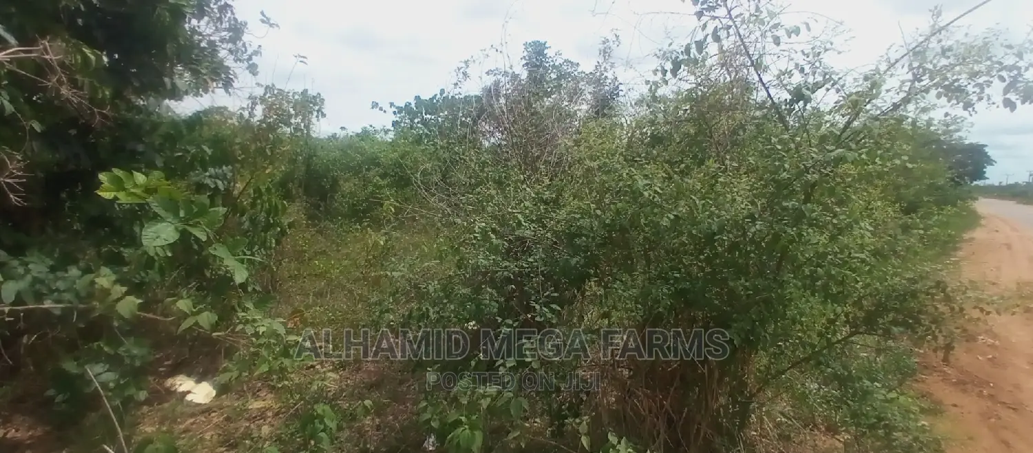200 Acres of Farmland for Sale at 130,000 Per Acre
