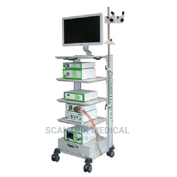 Endoscopic Hd Monitor