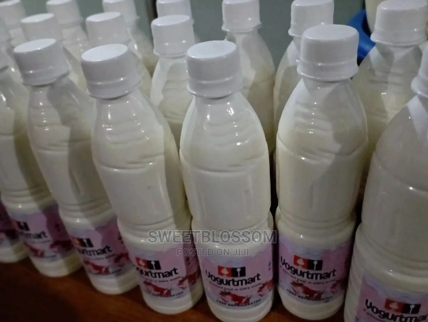 Yoghurt Factory Set Up Production