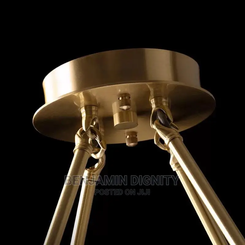 Exquisite Nordic Led Chandelier Light