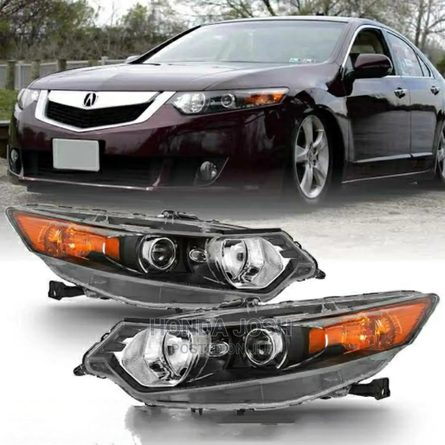 Headlights 2009 to 2014 Model Acura TSX
