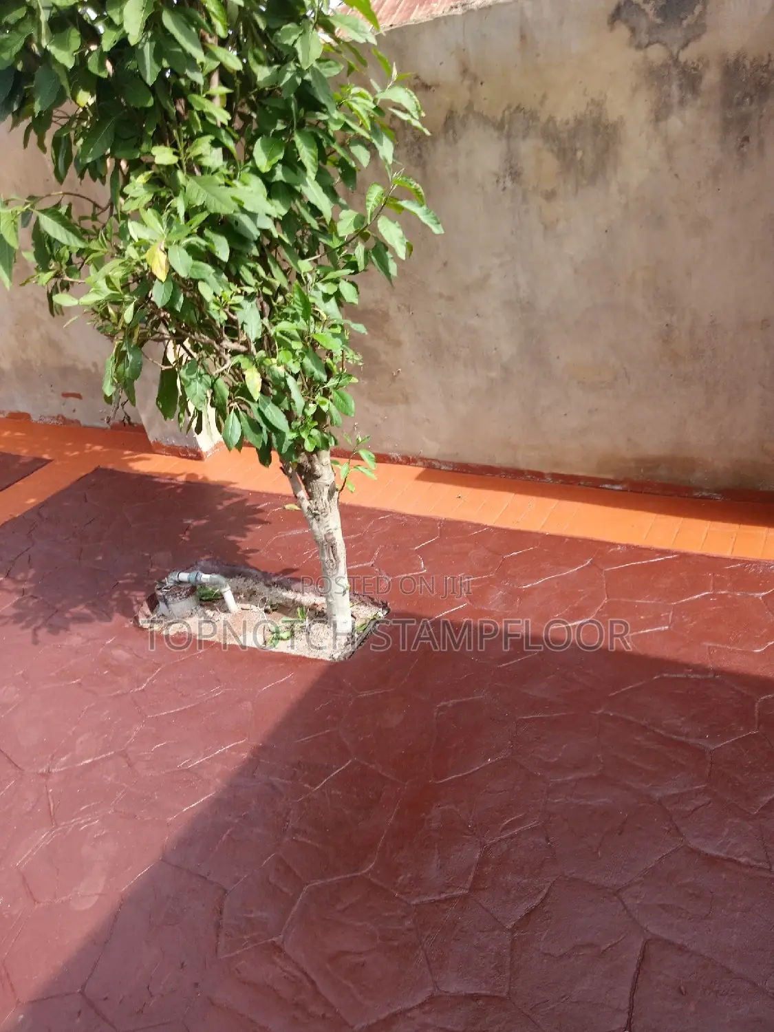 Design Your Own Floor With Us