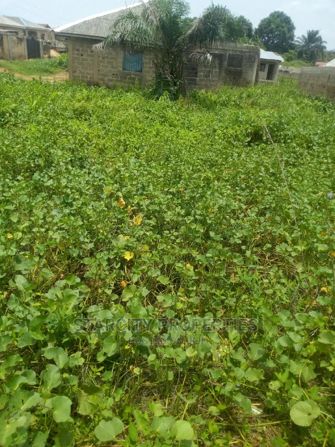 Cheap Plots of Land in Mowe Ogun State Diamond Estate