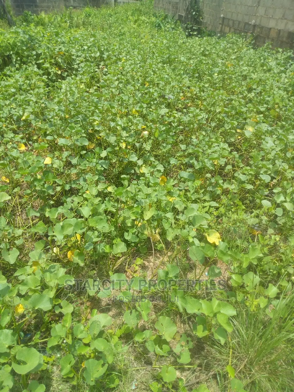 Cheap Plots of Land in Mowe Ogun State Diamond Estate