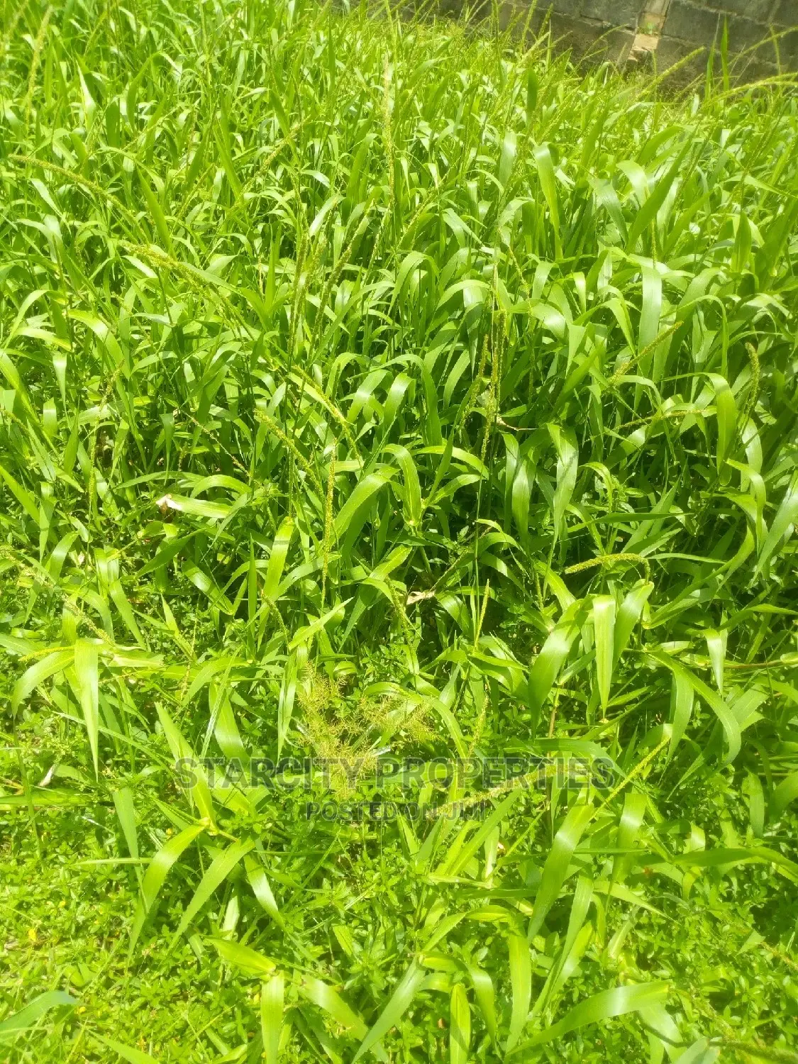 Farm Lands for Sale at Epe Close to Igbonla