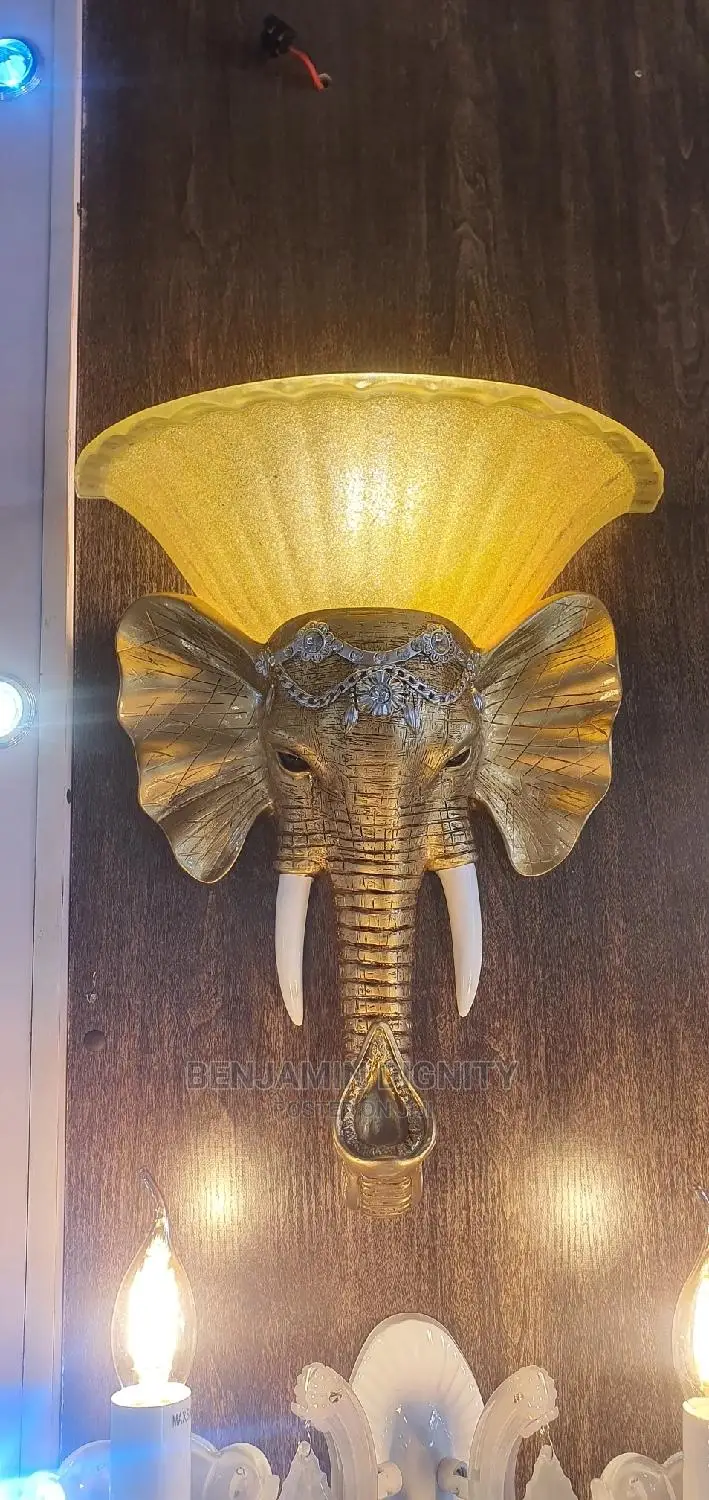 Exotic Wall Bracket Light 