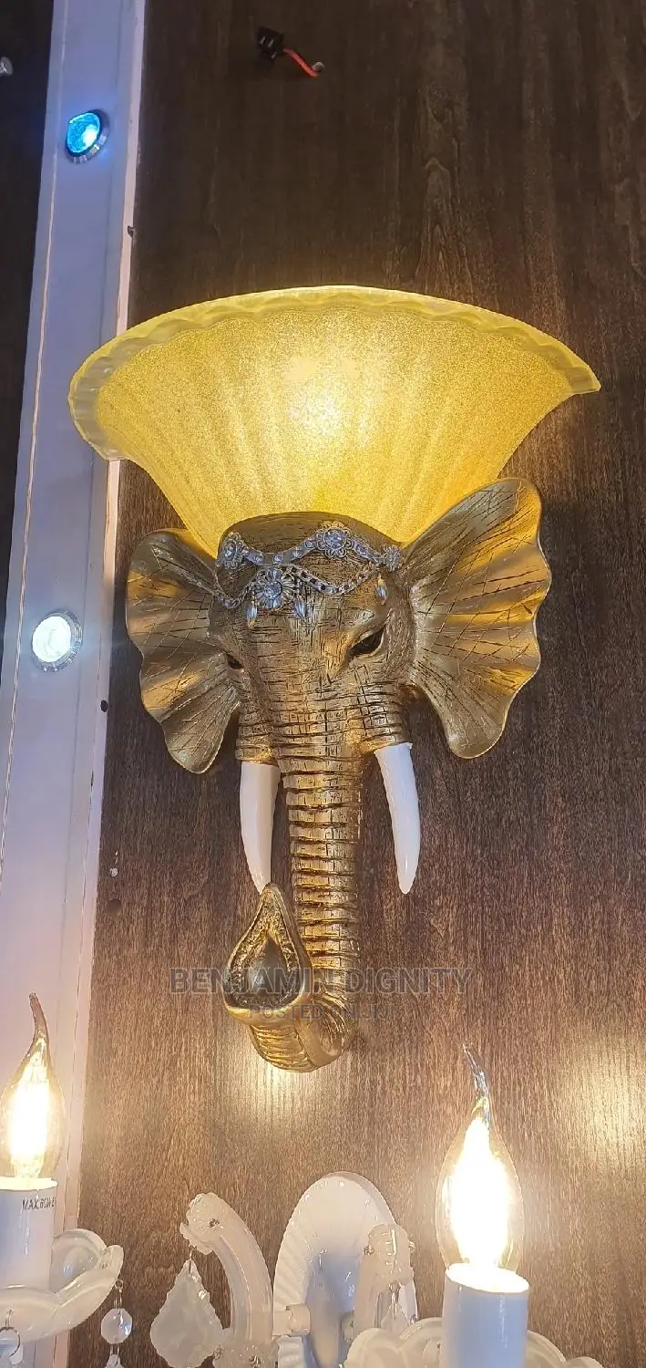 Exotic Wall Bracket Light 