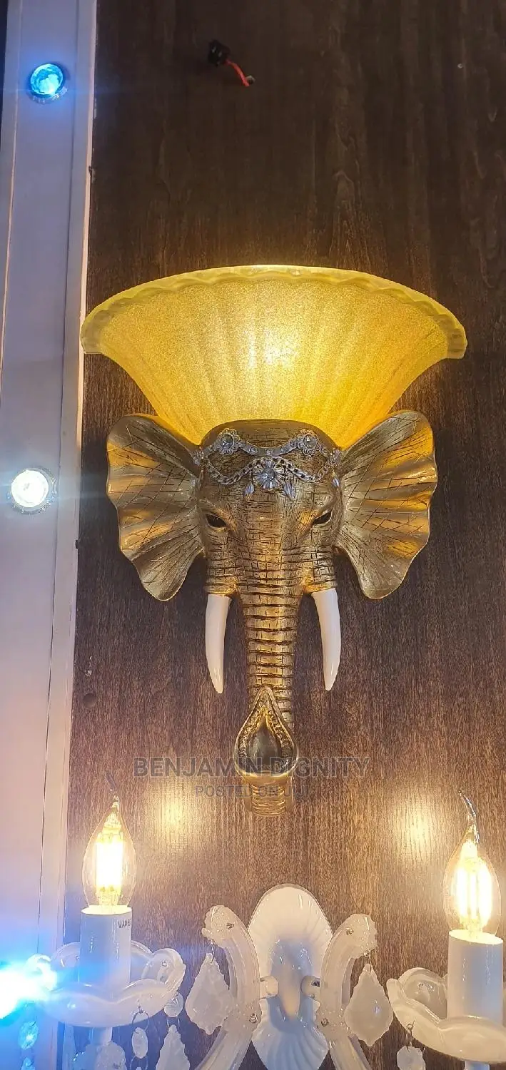 Exotic Wall Bracket Light 