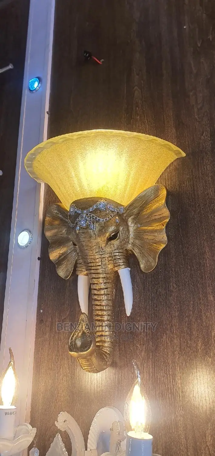 Exotic Wall Bracket Light 