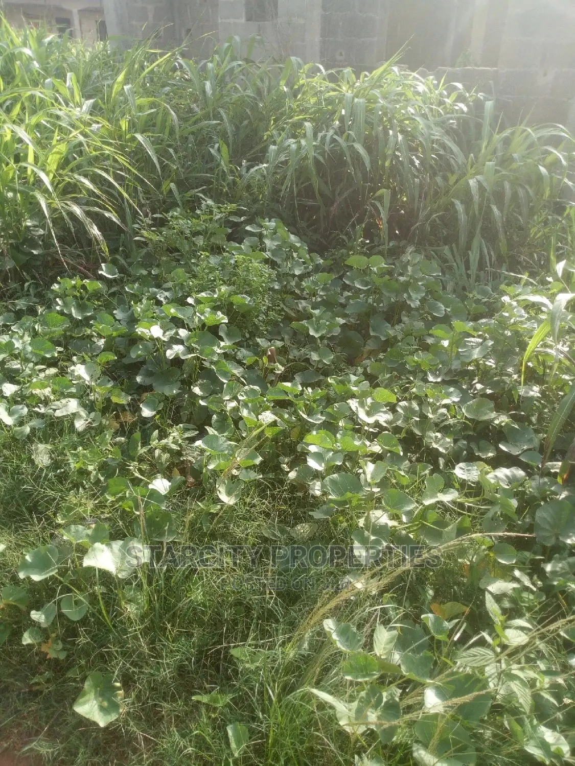 Cheap Plots of Land in Nando Close to Airport