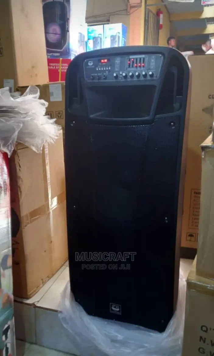 Classic Audio Double 15inchs Public Address Systems