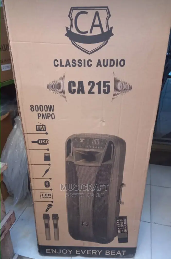 Classic Audio Double 15inchs Public Address Systems