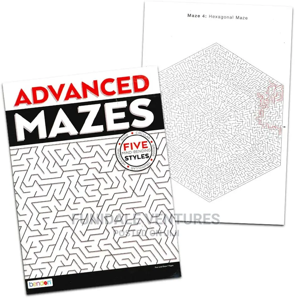 Advanced Mazes Activity Book
