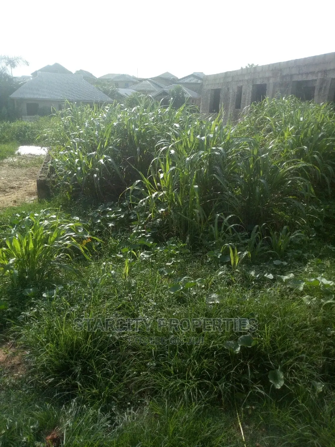 Cheap Plots of Land Available in Araromi Town, Ado Odo Ota