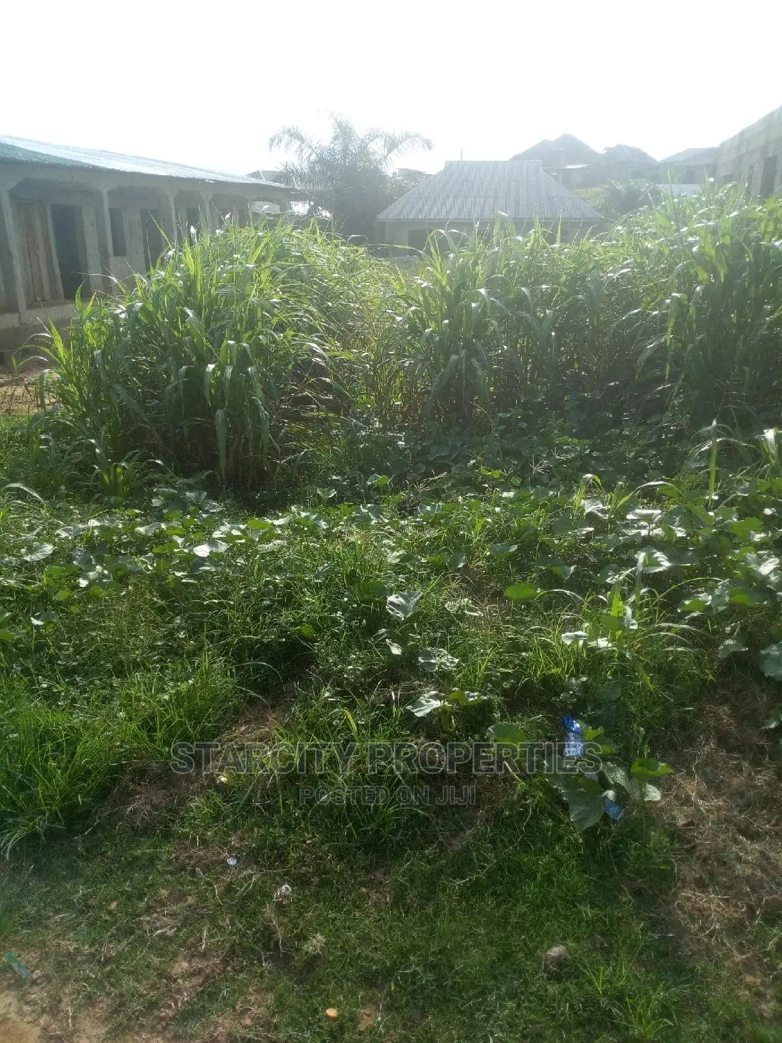 Cheap Plots of Land Available in Araromi Town, Ado Odo Ota
