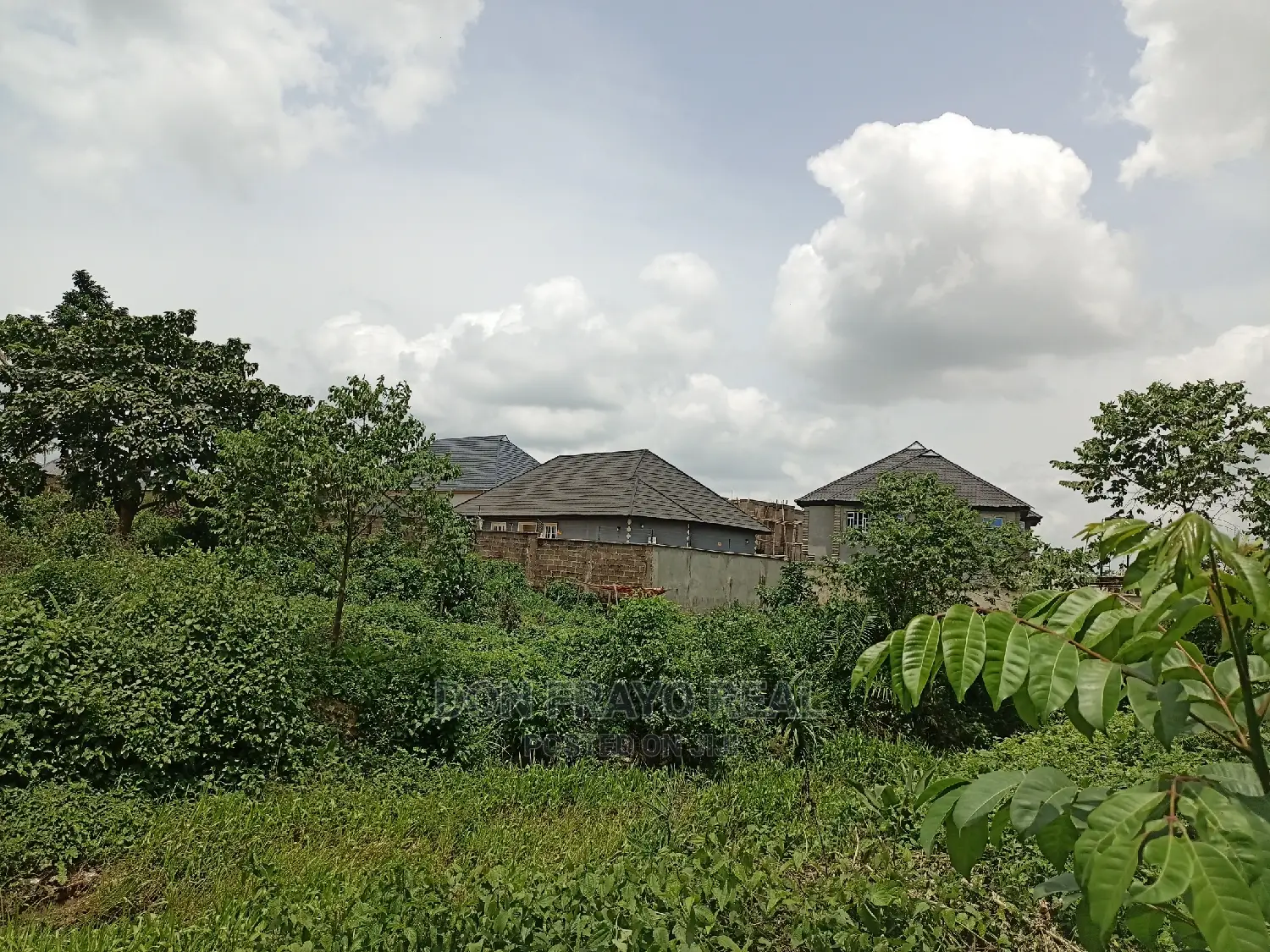 Fishery Farm on 3 Plots for Sale at Oluwo After Iyana Agabla