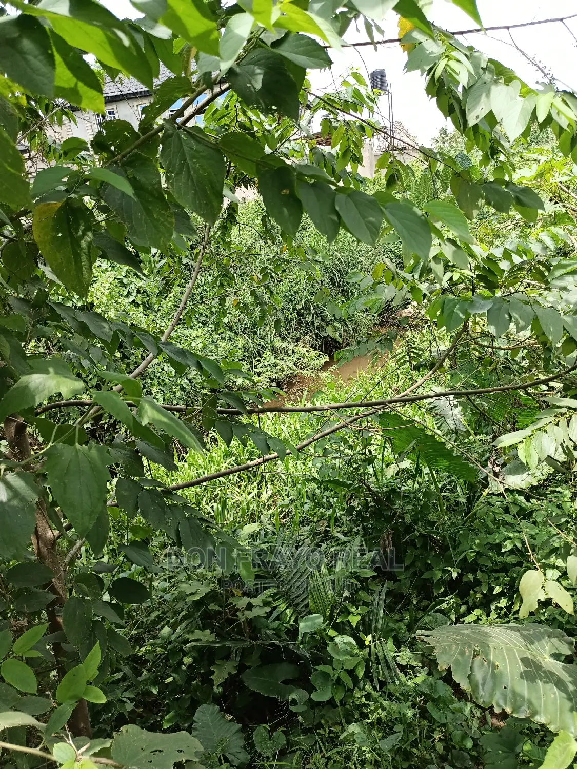 Fishery Farm on 3 Plots for Sale at Oluwo After Iyana Agabla