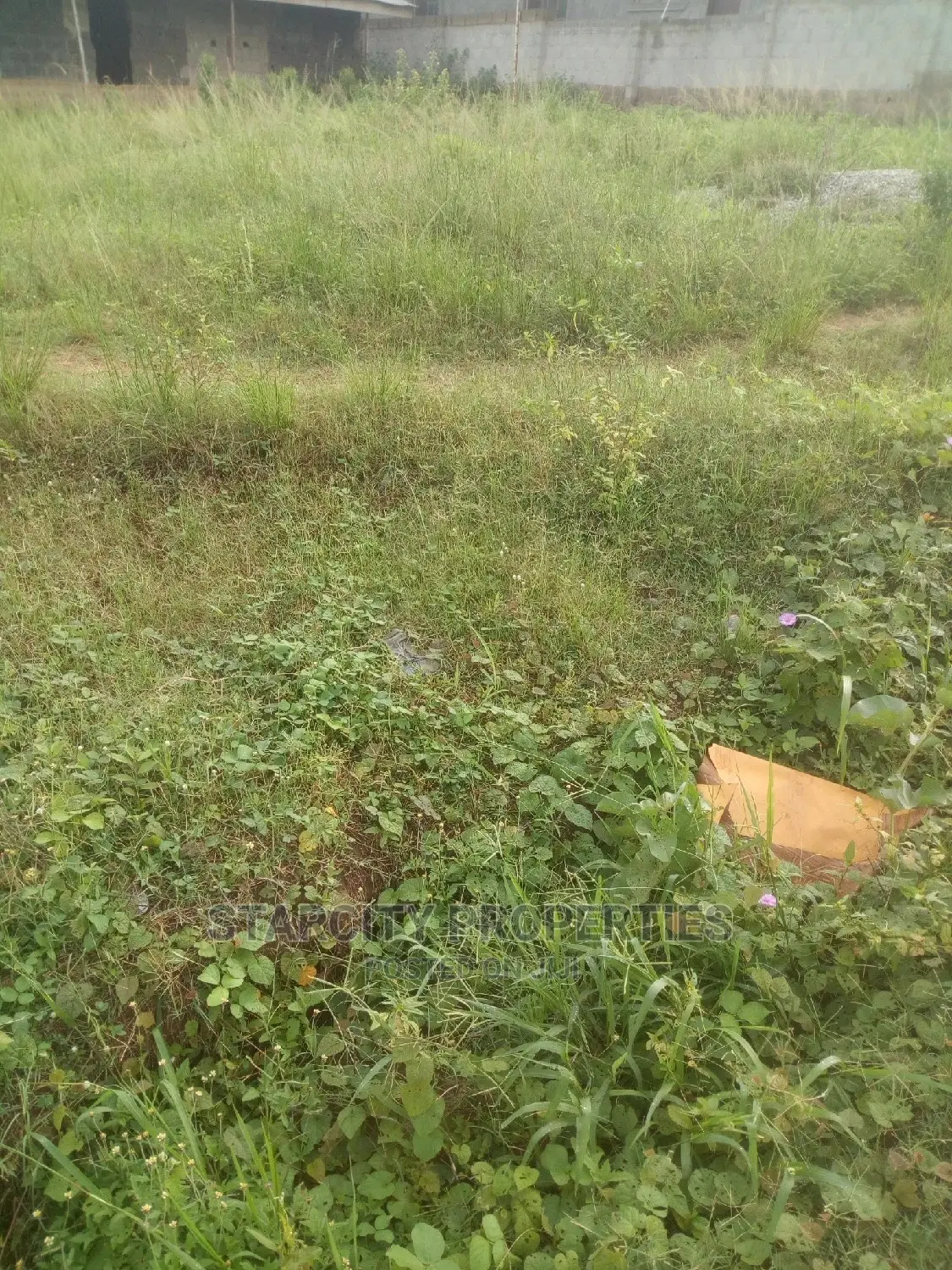 Plots of Land in Groundvitz Polytechnic, Oba,Anambra State