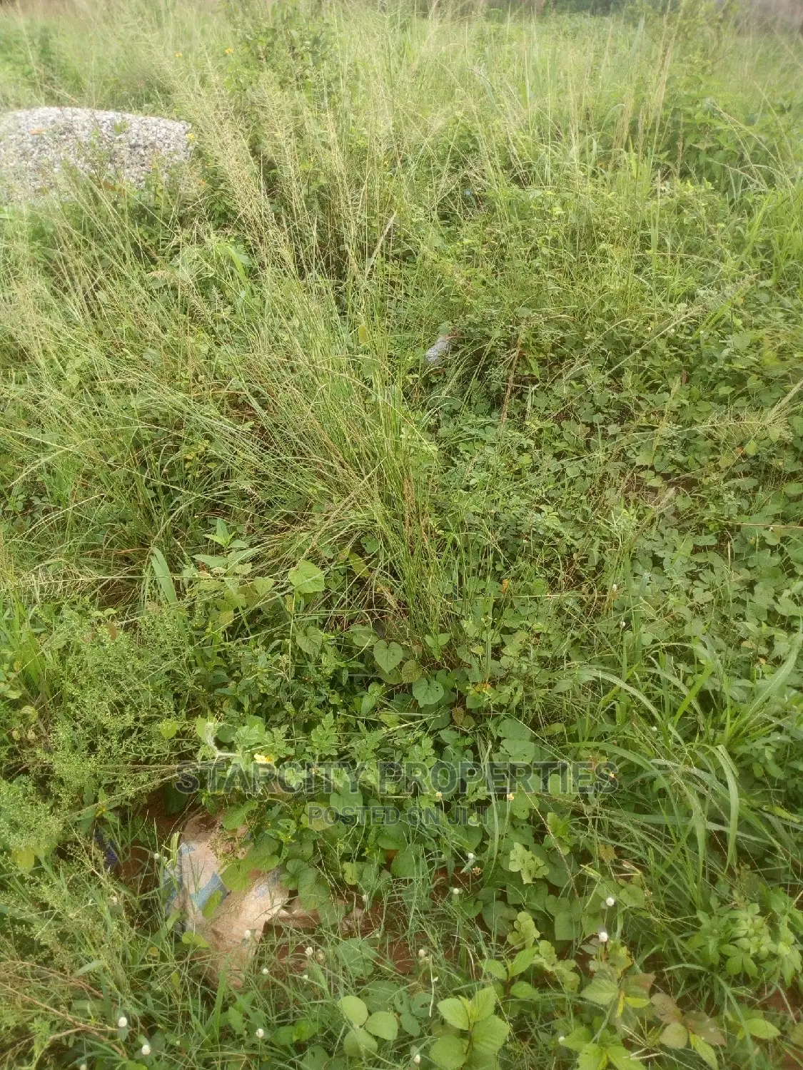 Plots of Land in Trans Nkisi Extension, Gra Onitsha
