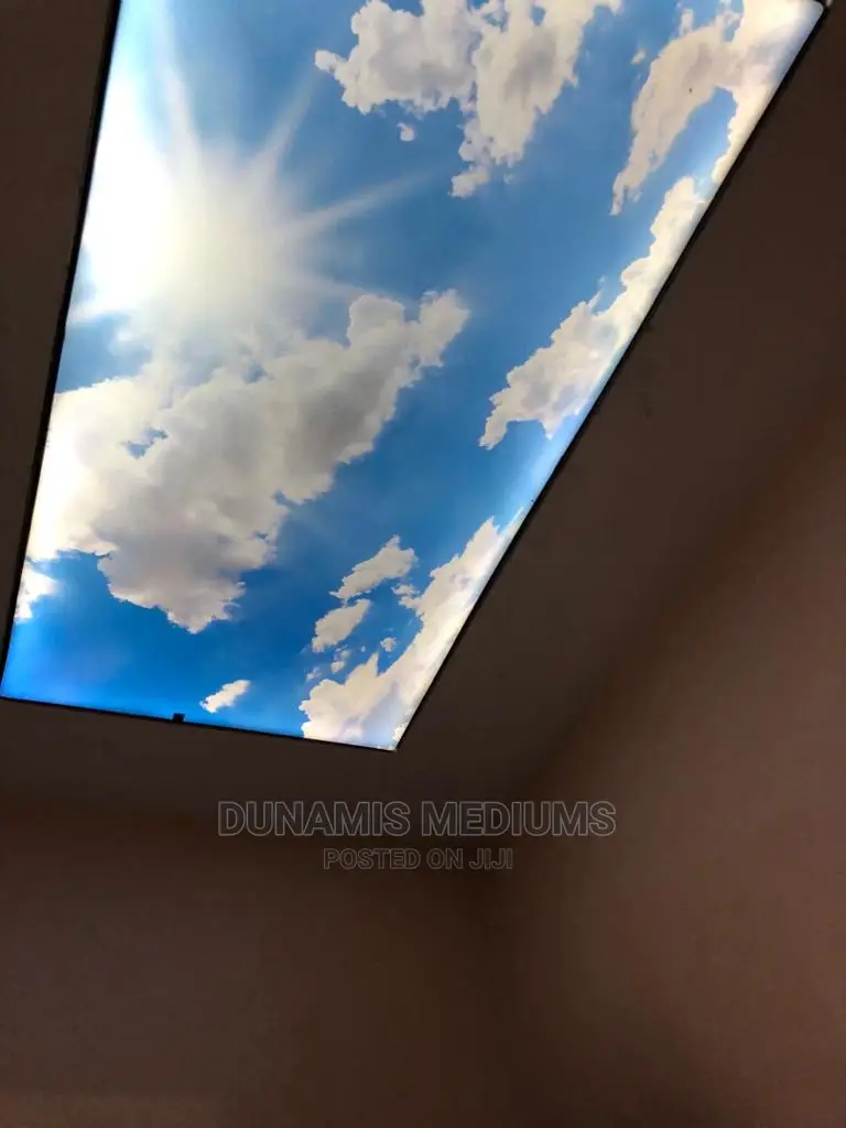 3D Stretch Ceiling